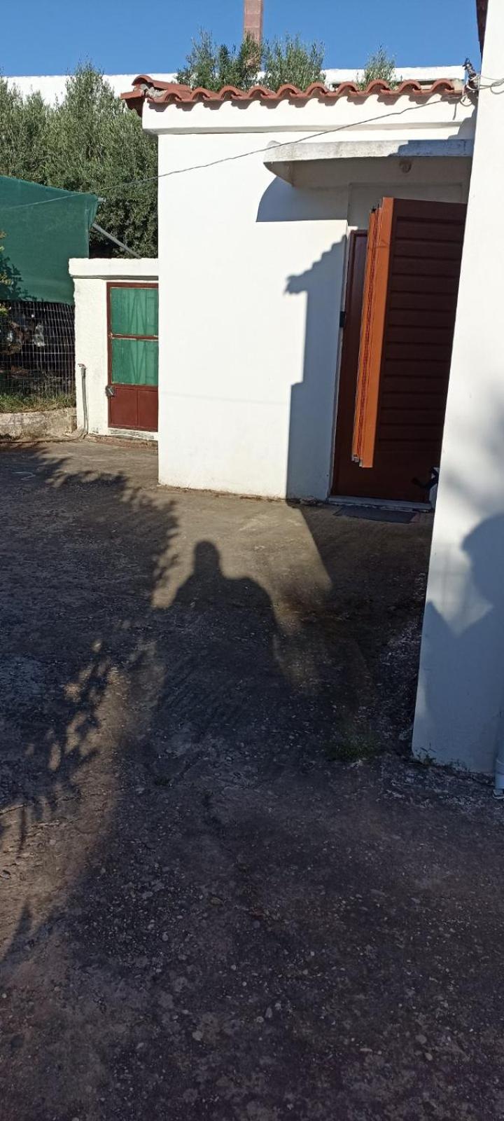Politimis house