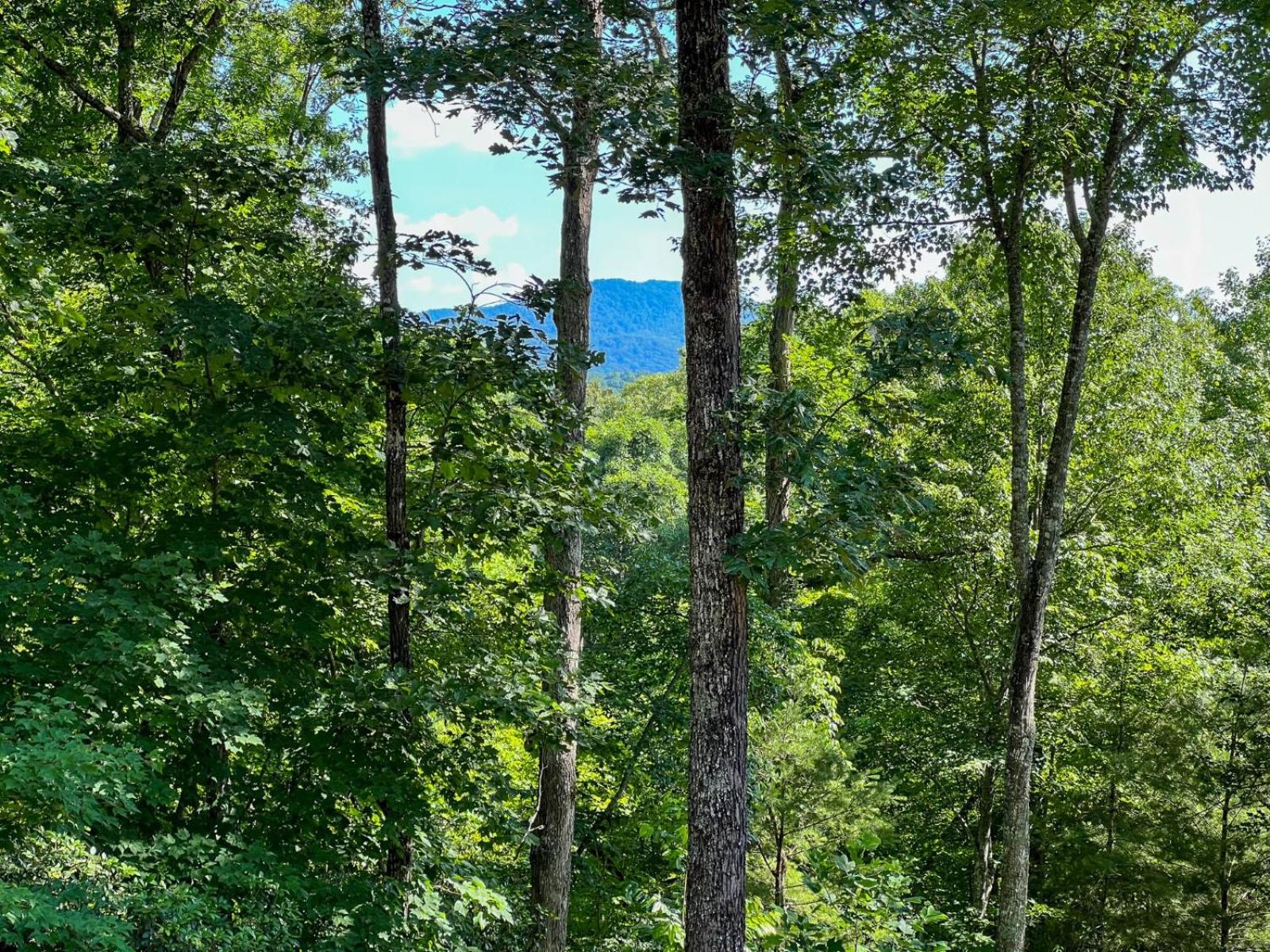 Peaceful Secluded Cabin, ASKA view 5