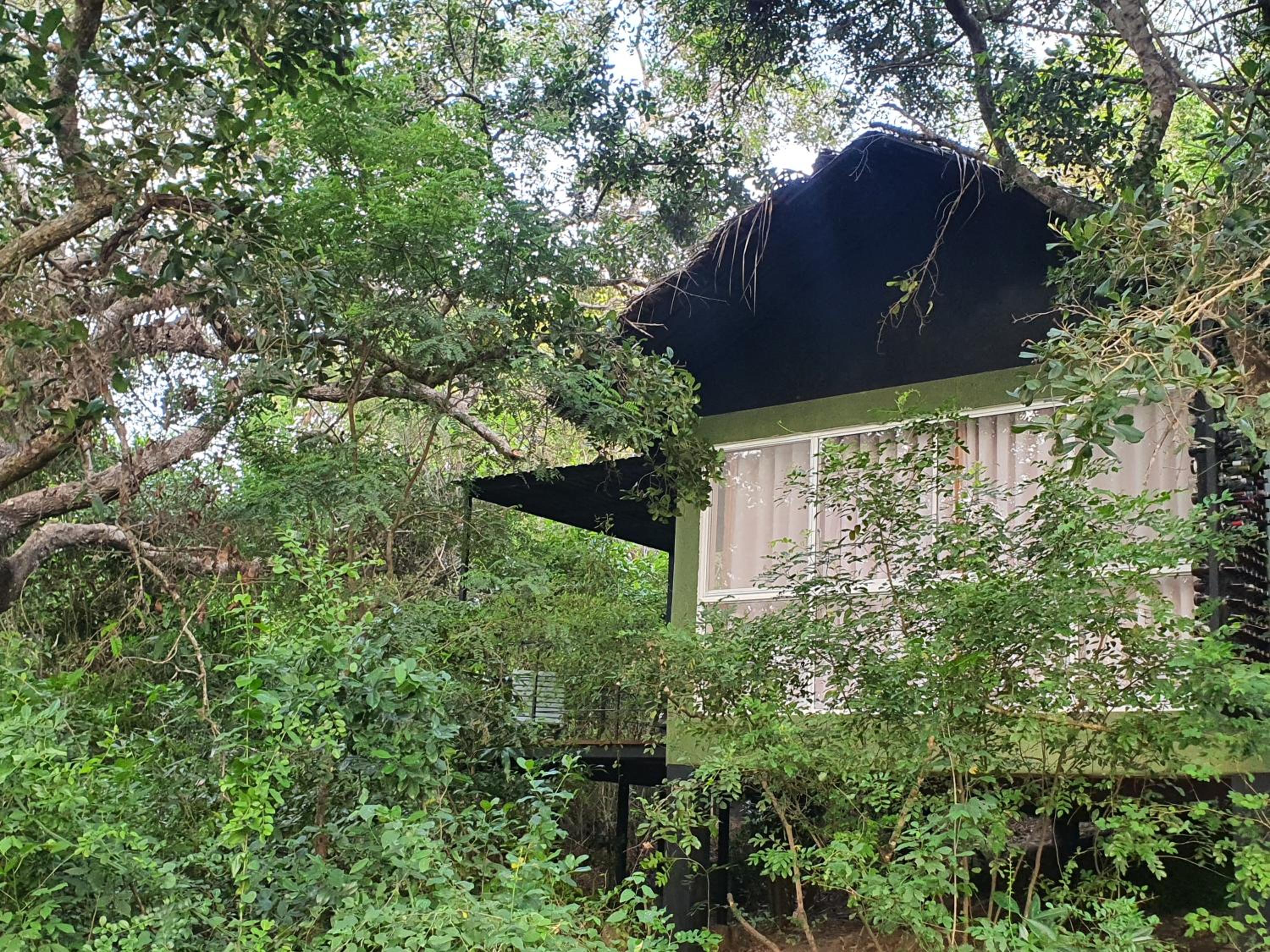 The Backwaters Lodge