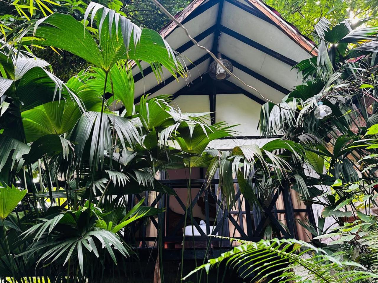 Lodge Cacao