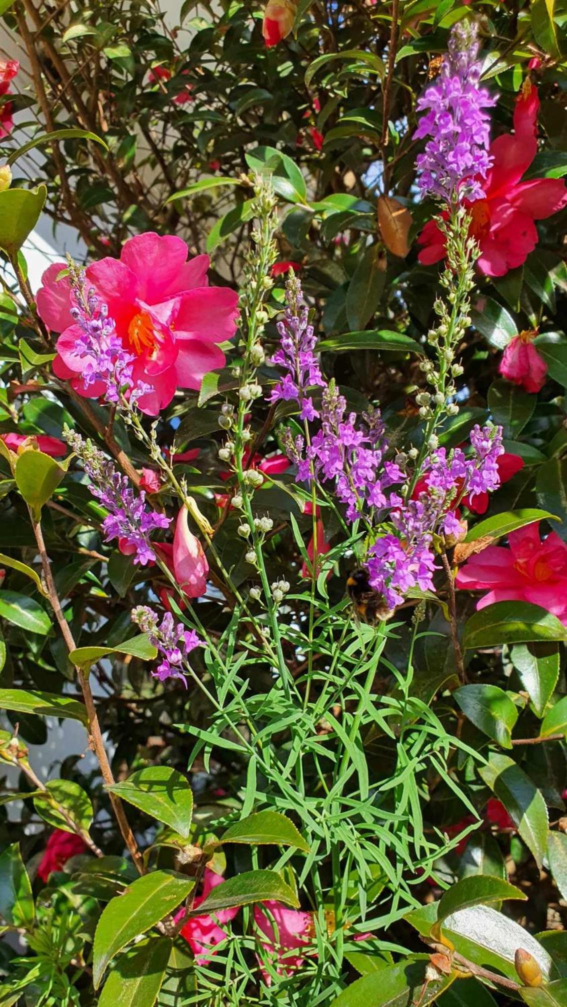 Photo 29