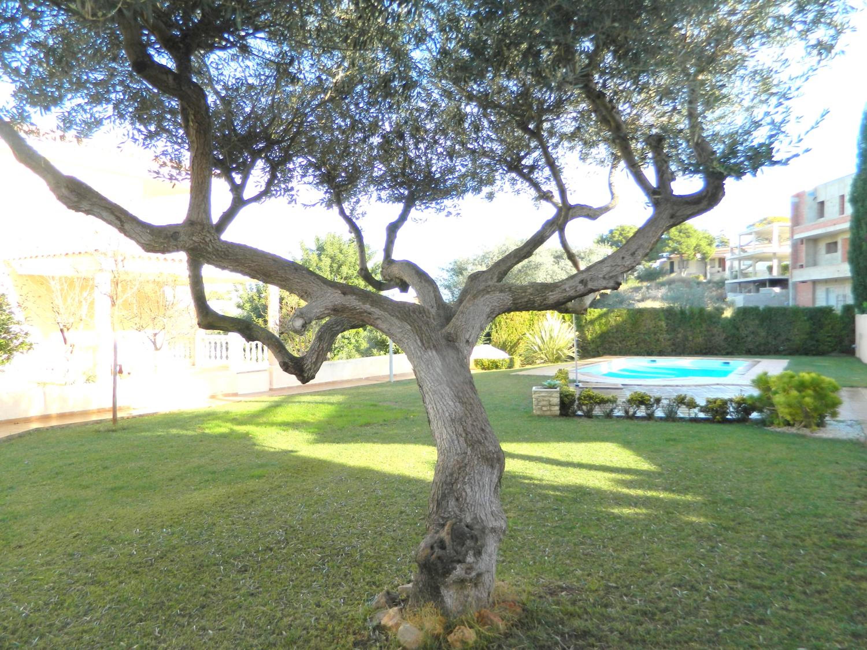 Villa Las Calas