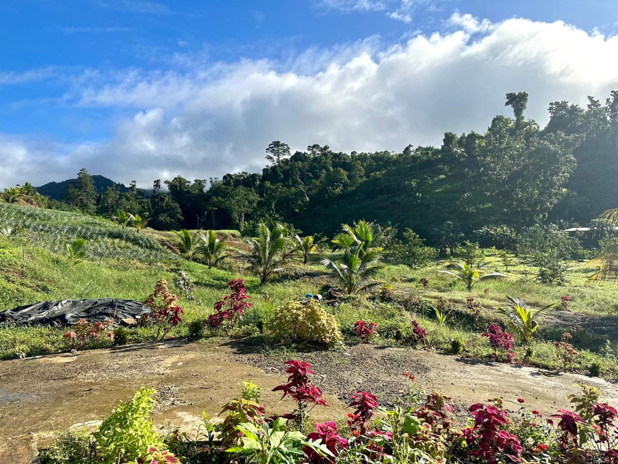 Cosy Farmstay Jasmeeruls Bayt Tuvurara, Savusavu