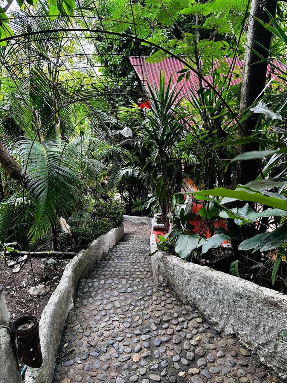 Lodge Cacao
