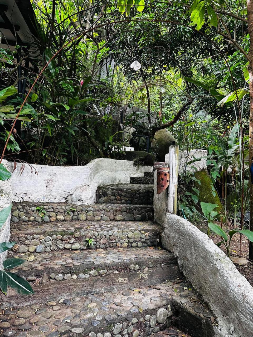 Lodge Cacao
