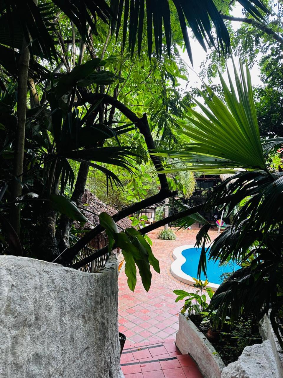 Lodge Cacao