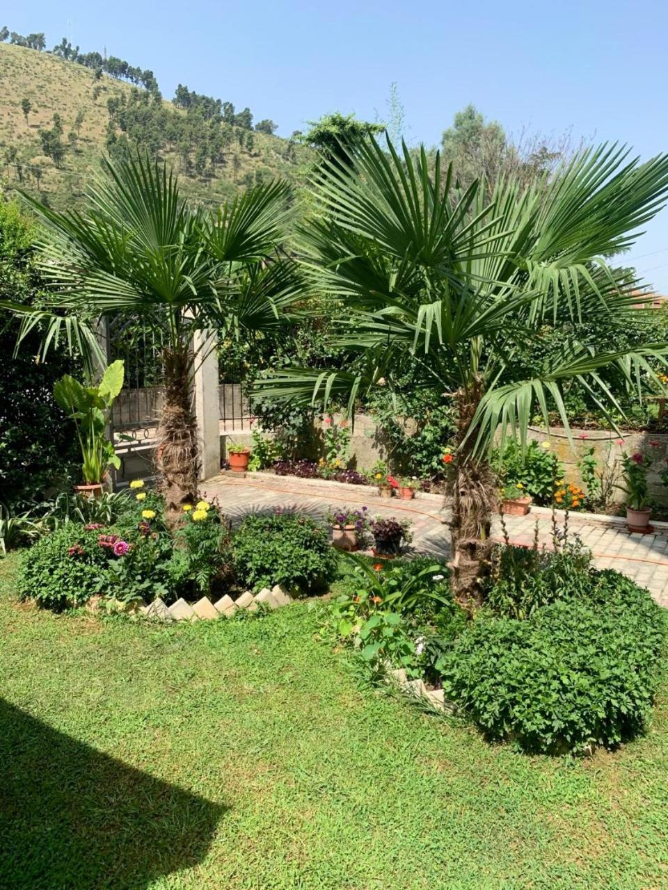Villa with Garden & Balcony