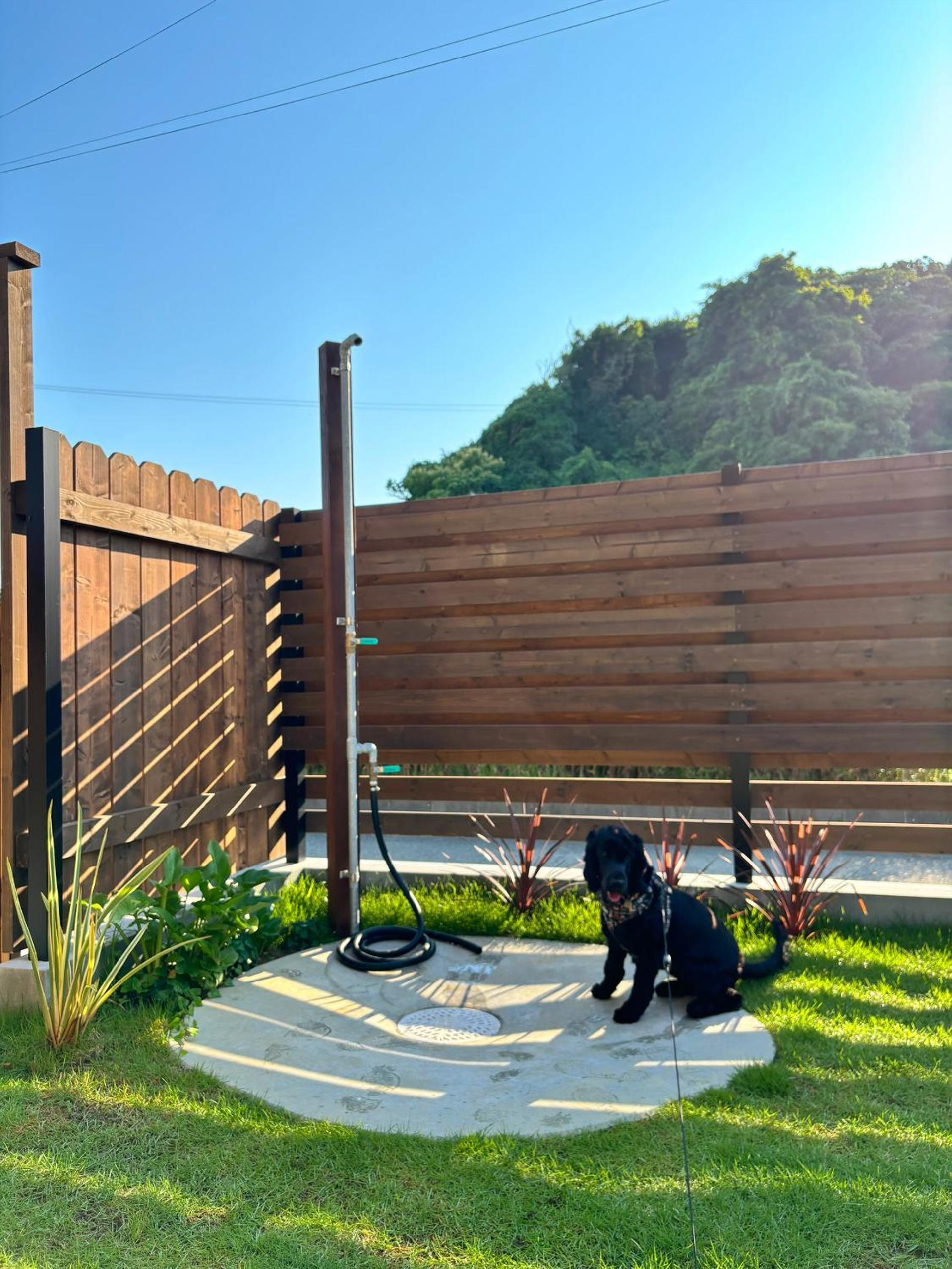 Photo 34