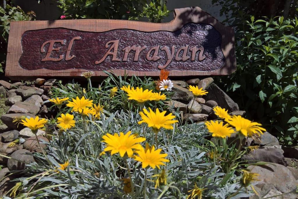 El Arrayan " No acepta mascotas" view 3