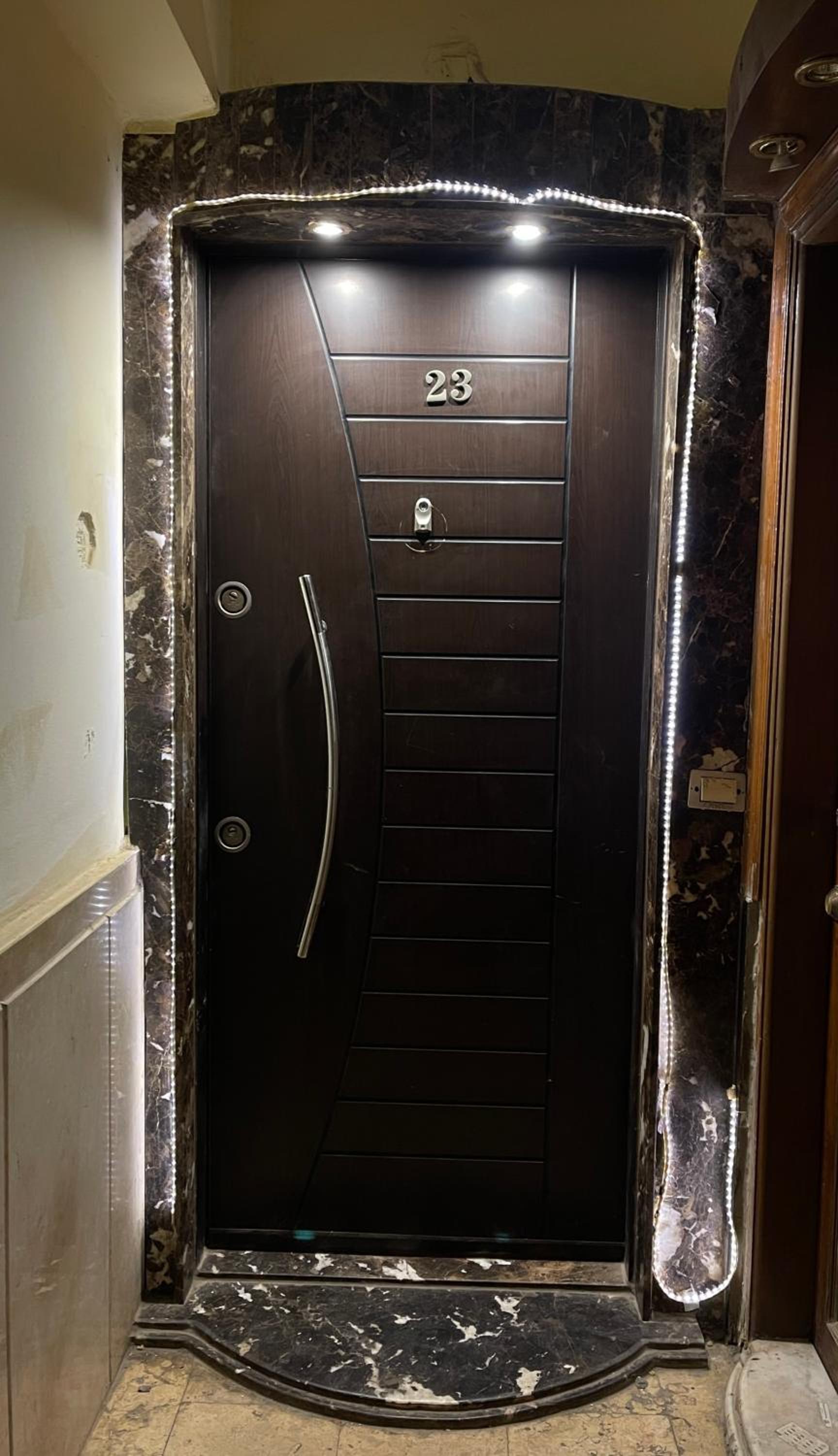 Luxurious Apartment