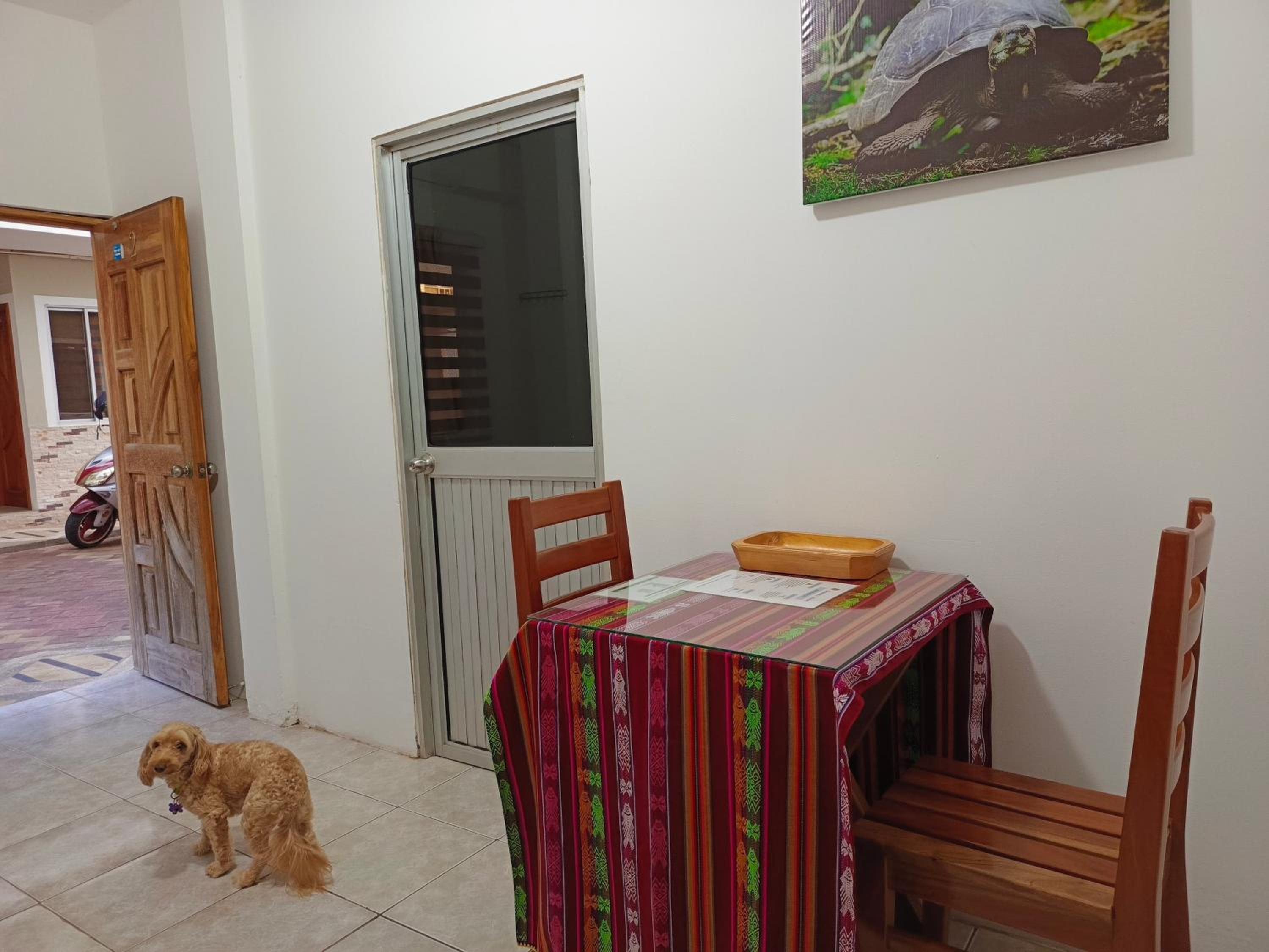 Teresita's House Suites con cocina privada , ideal para parejas, AC, wifi agua caliente, cerca del aeropuerto, a pocos pasos del malecón San Cristóbal