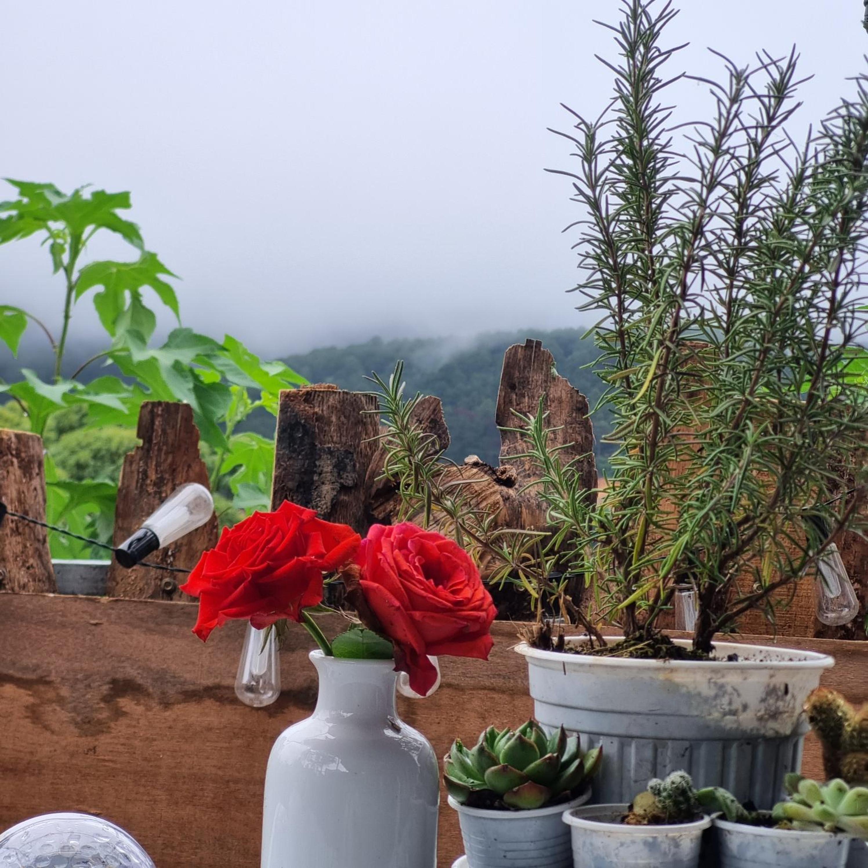 Nhà Mìn view 2