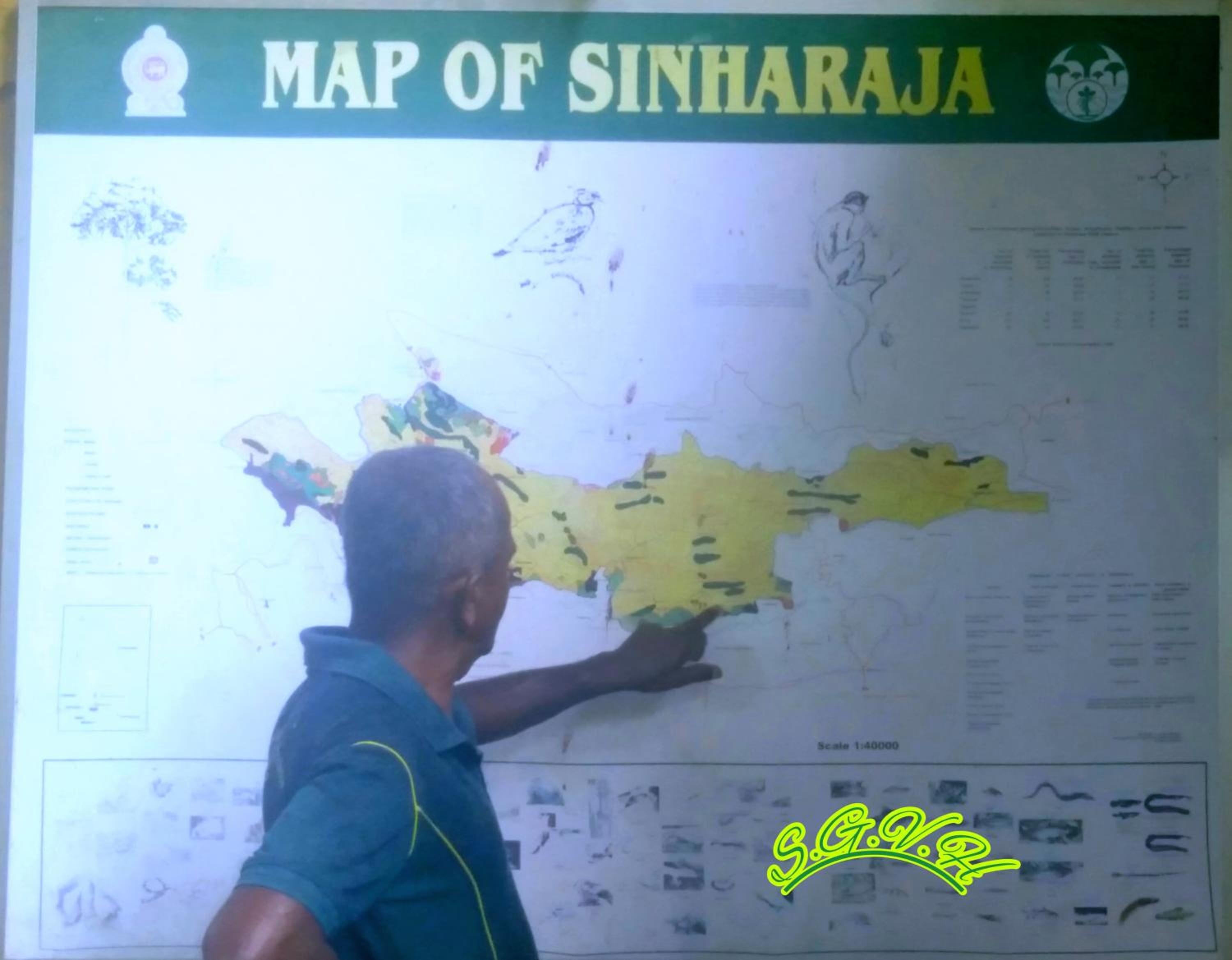 Sinharaja Greenvilla Homestay