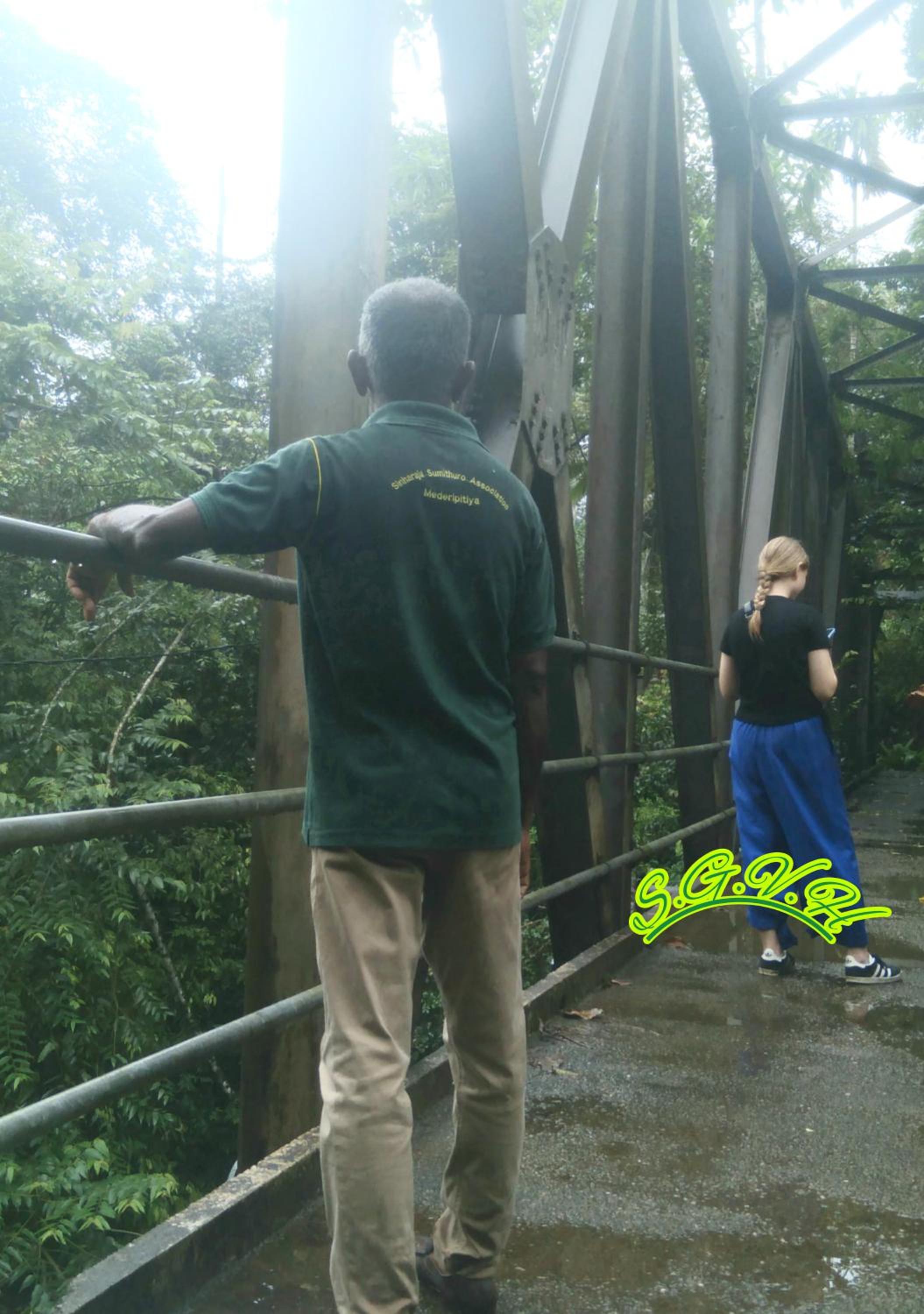 Sinharaja Greenvilla Homestay