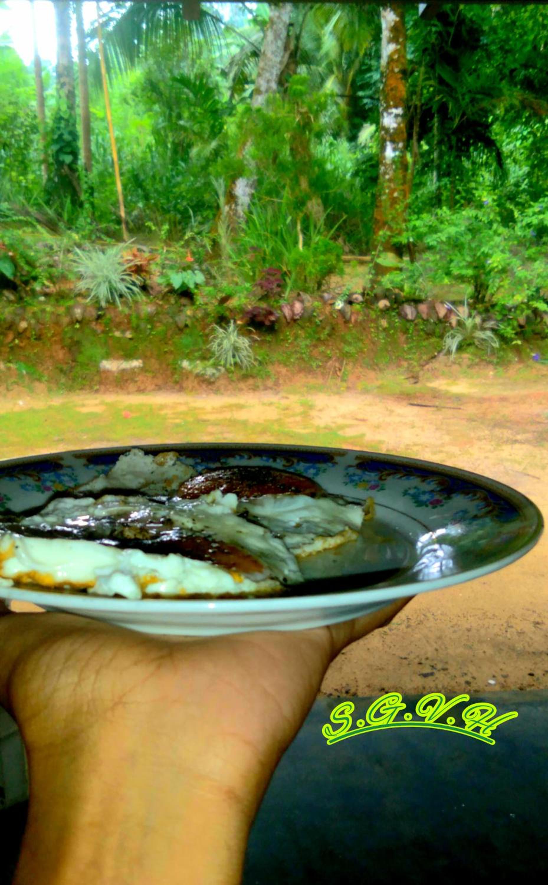 Sinharaja Greenvilla Homestay