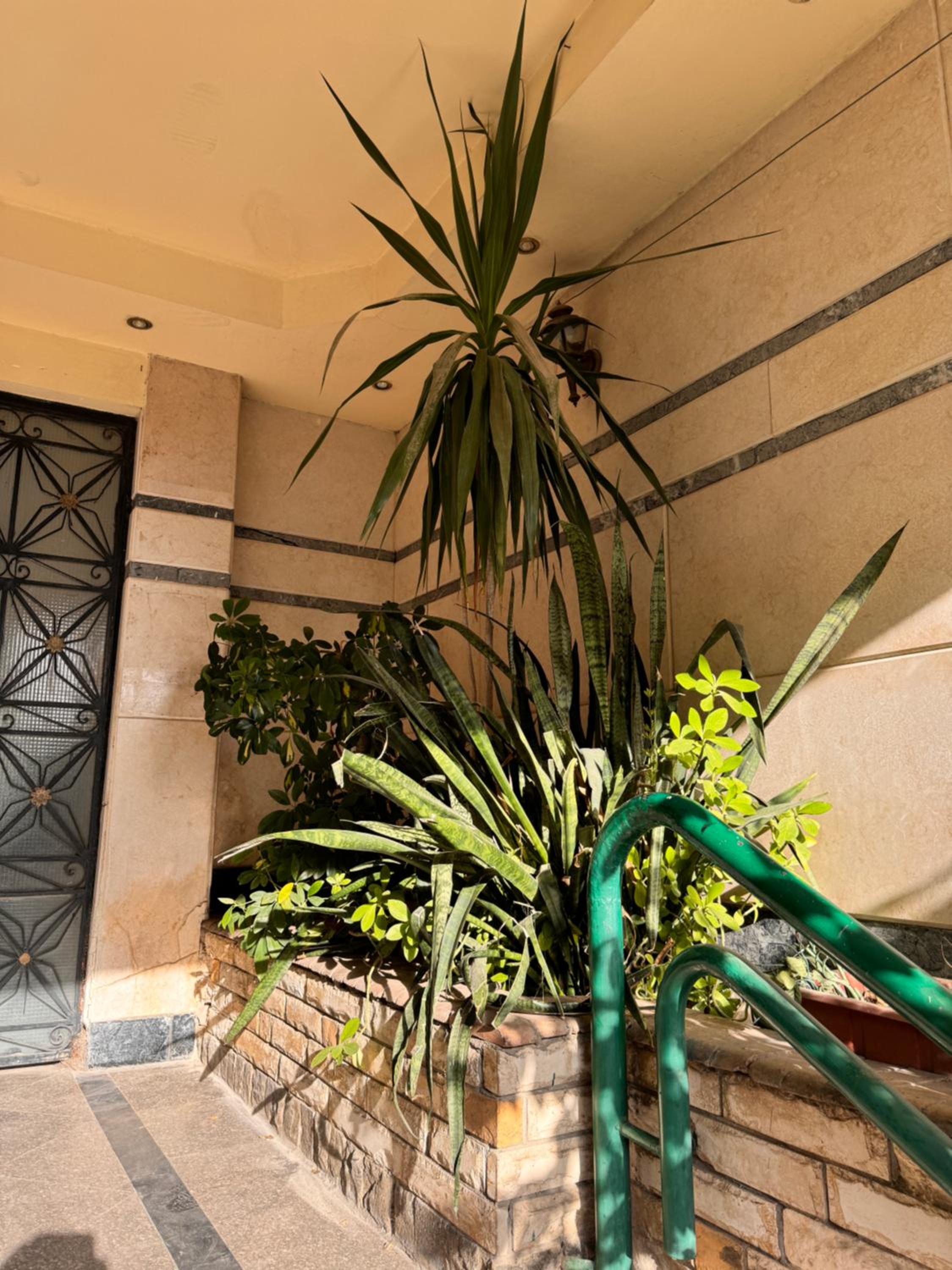 Tivoli Apartment