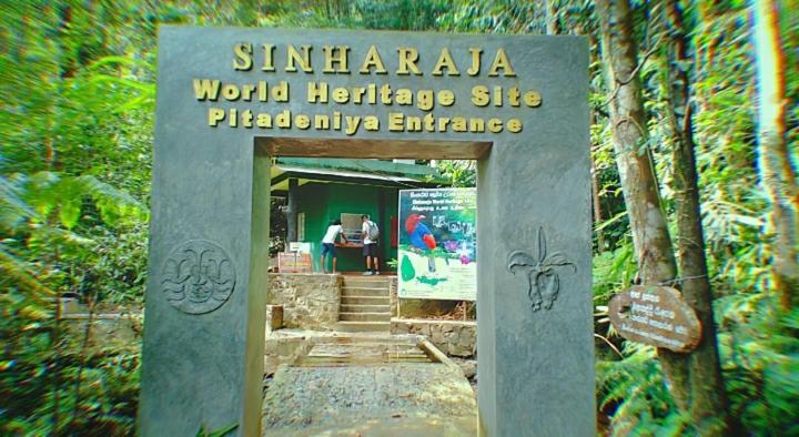 Sinharaja Greenvilla Homestay