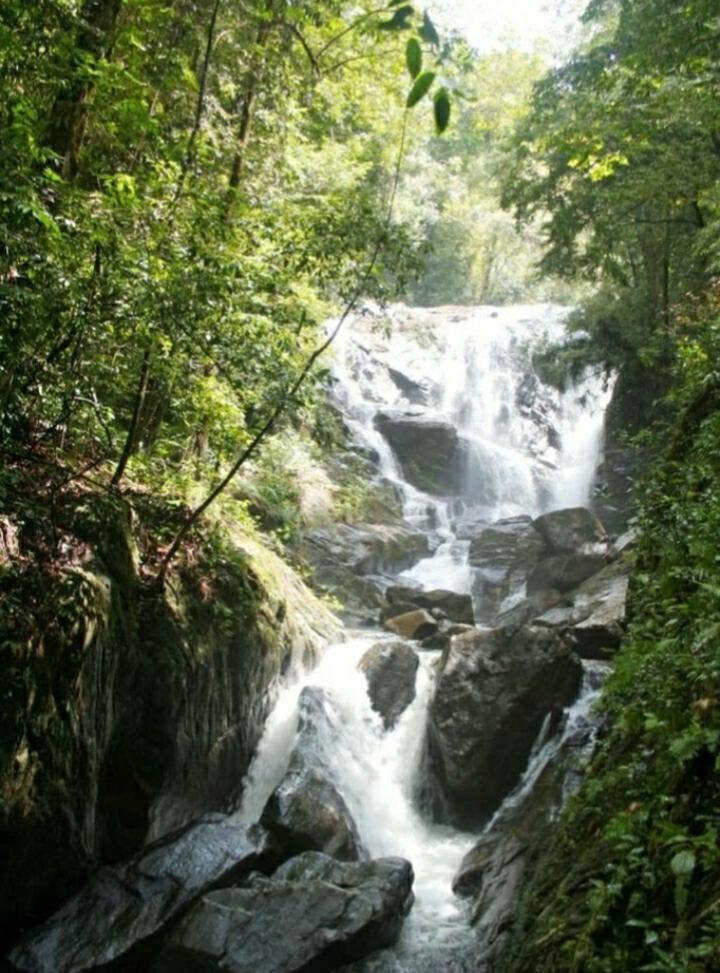 Sinharaja Greenvilla Homestay