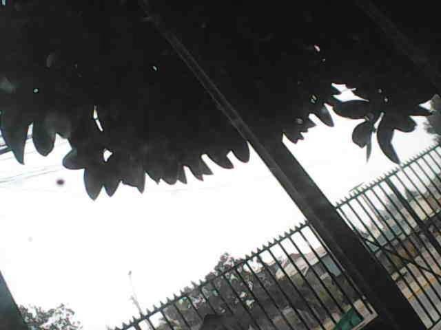 Quillota Hermosa Ciudad