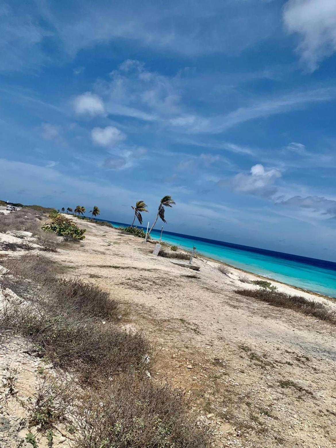Sand Dollar Apartment B11 Serenity By The Sea