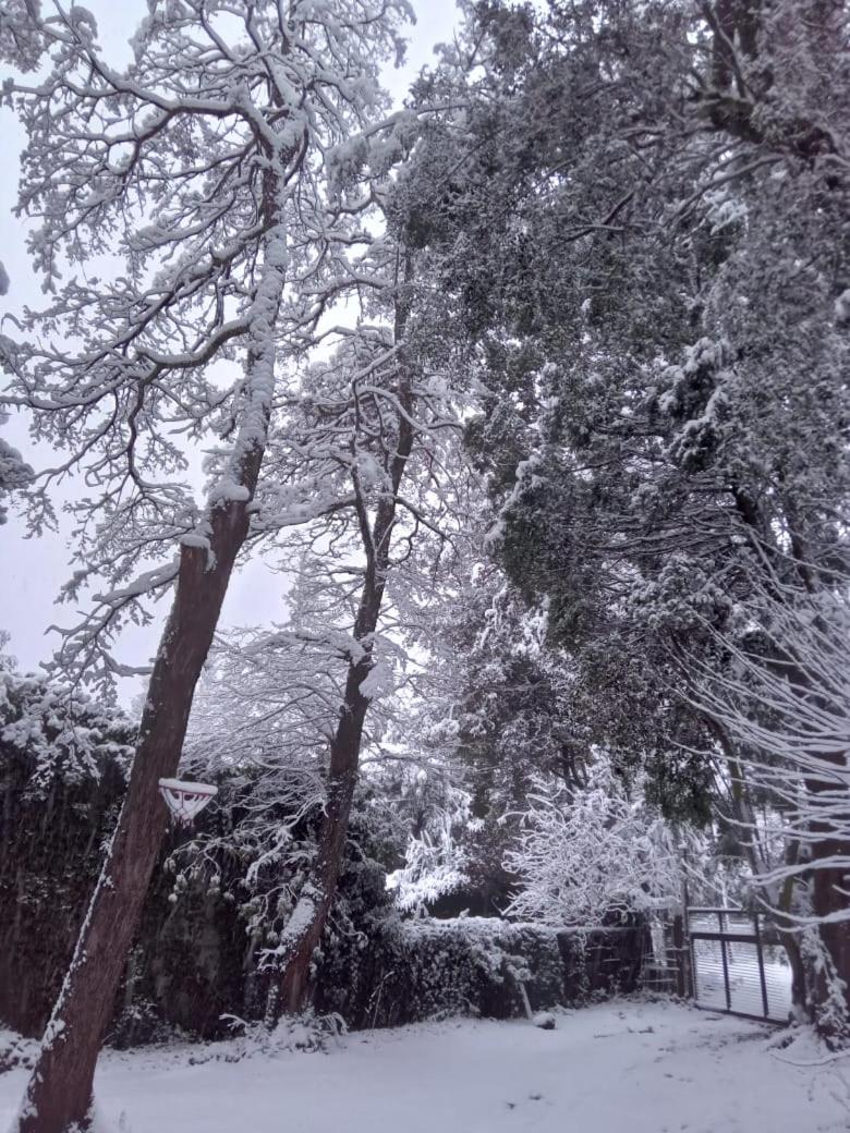 La casita del bosque
