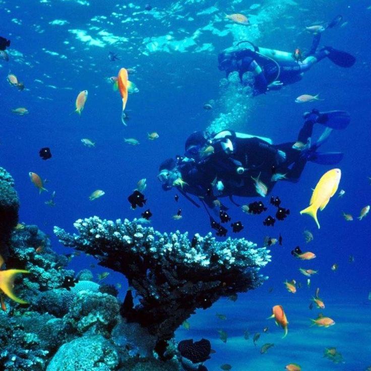 Porto Sharm elsheikh-Aqua park view