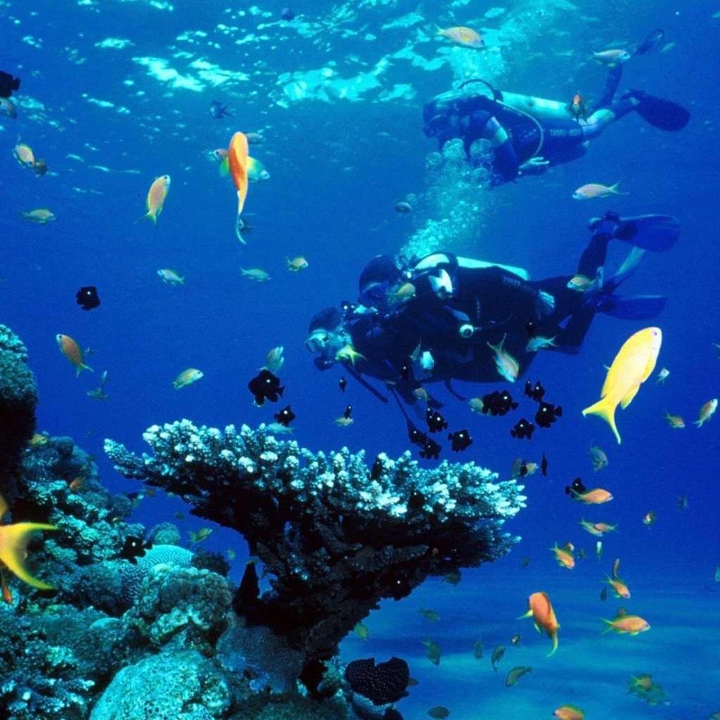 Porto Sharm elsheikh-Aqua park view