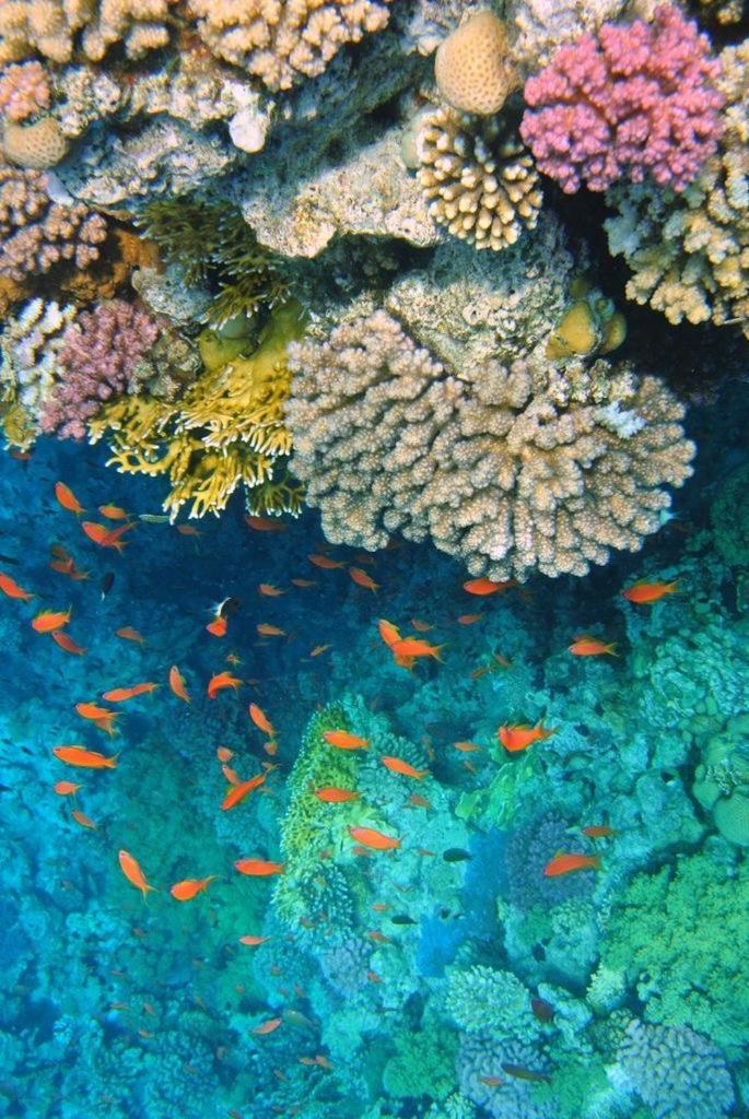 Porto Sharm elsheikh-Aqua park view