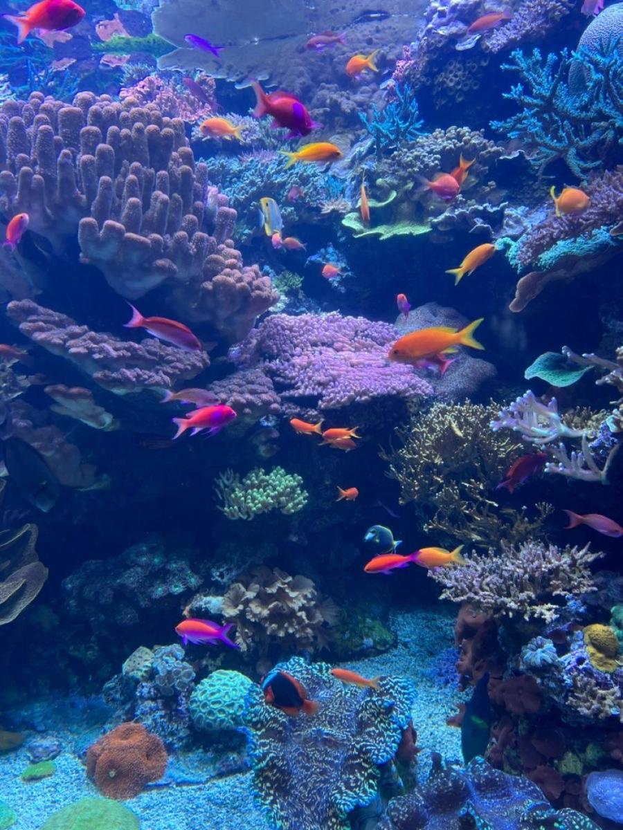 Porto Sharm elsheikh-Aqua park view