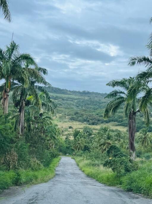 GAIA Barbados! 2bedroom Home 5min walk to the beach