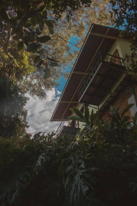 Teopan Treehouse