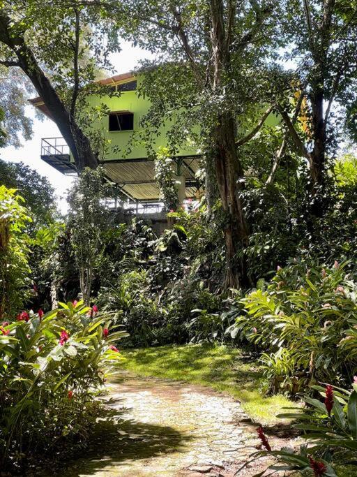 Teopan Treehouse