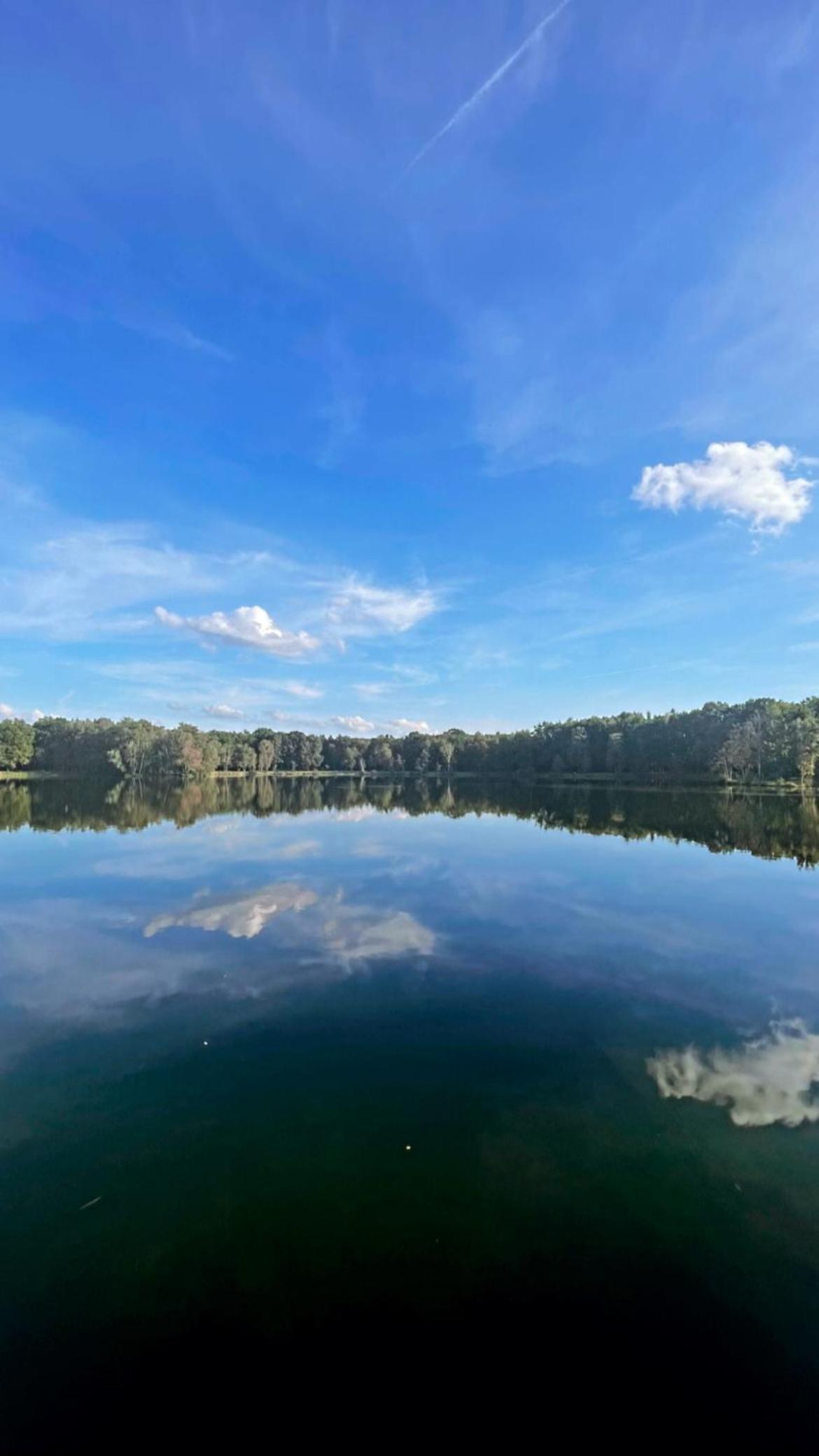 Boshuisje Pinus Sonnevijver Residences