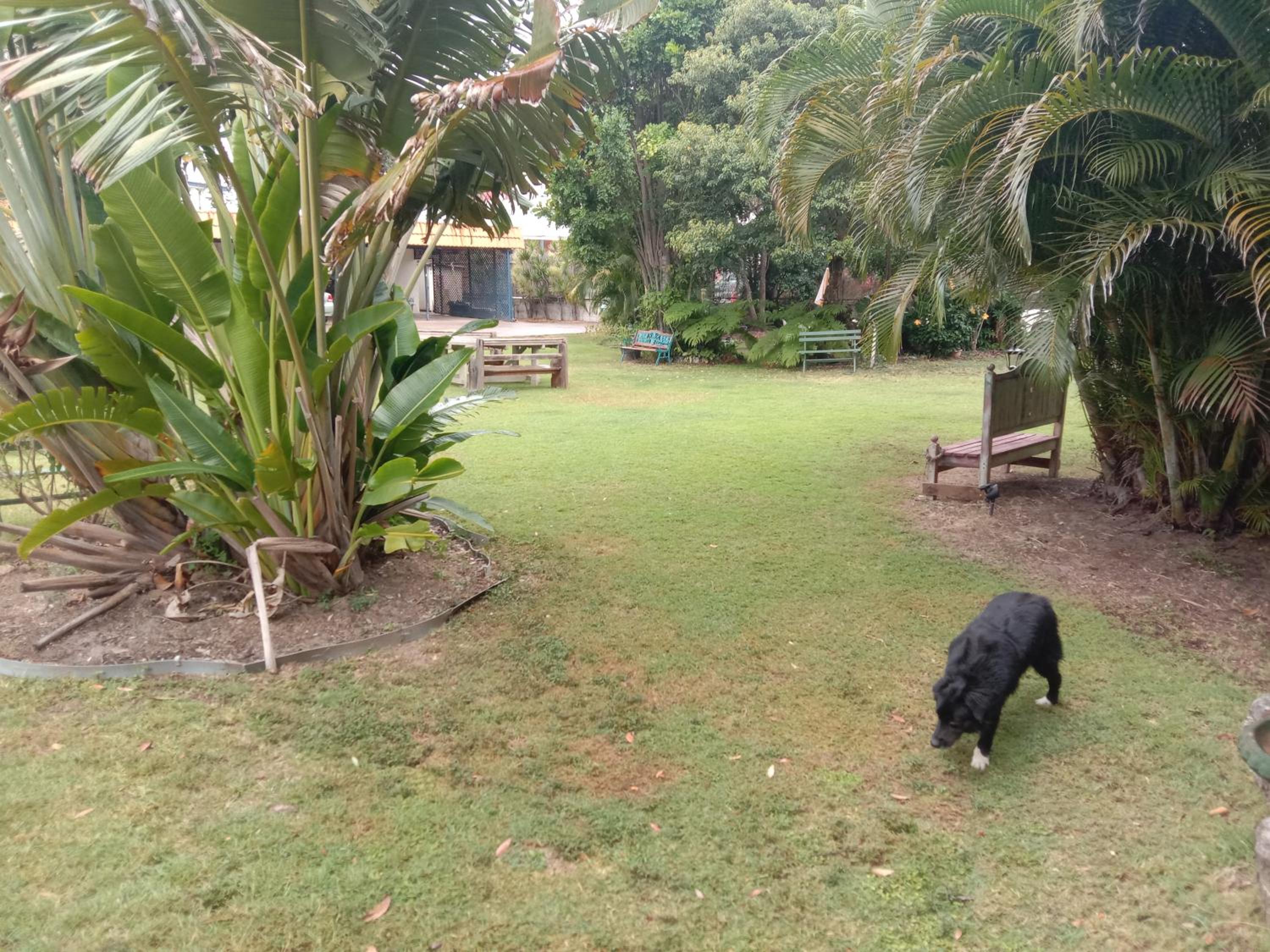 Bargara Beach Motor Inn budget accommodation pet friendly on application - Property Image 35