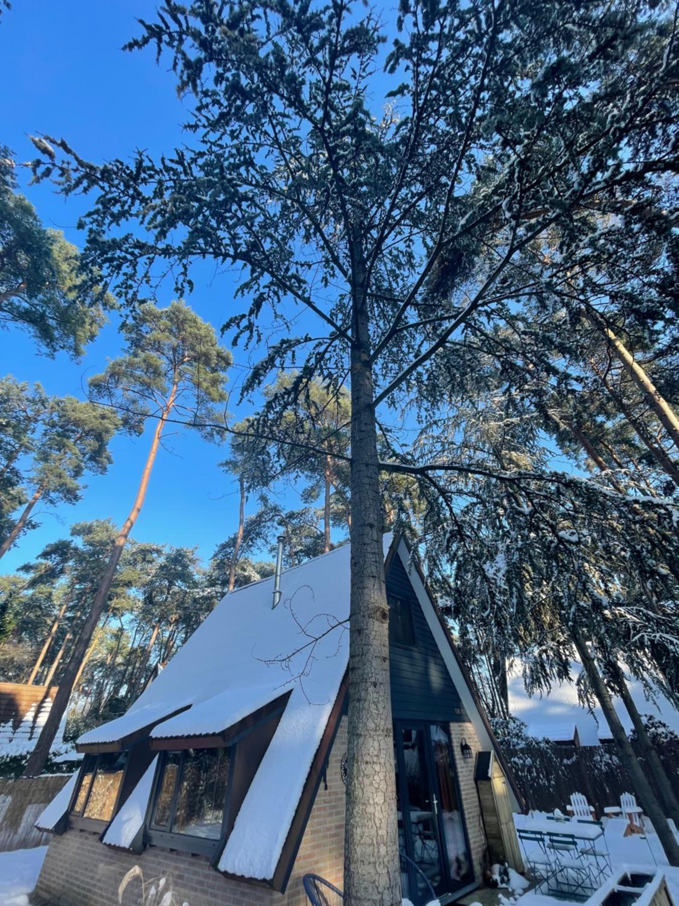 Boshuisje Pinus Sonnevijver Residences