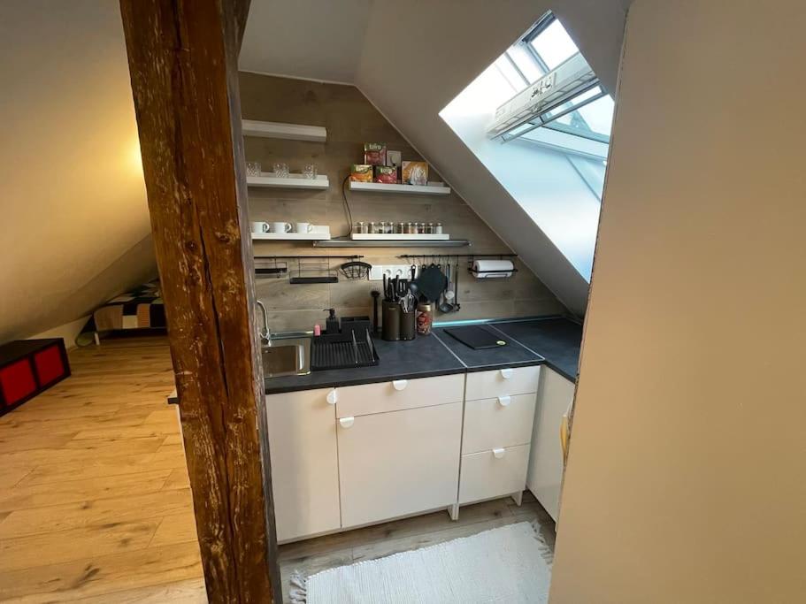 Francis Apartment II - Spa Center Karlovy Vary