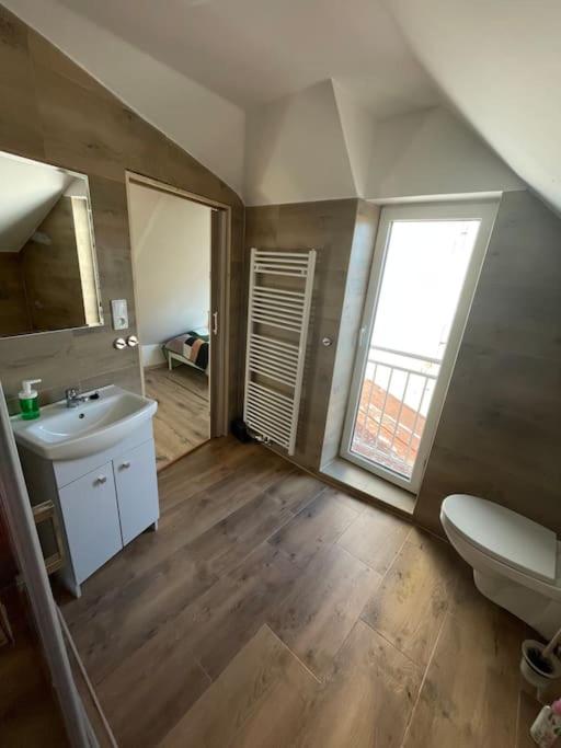 Francis Apartment II - Spa Center Karlovy Vary