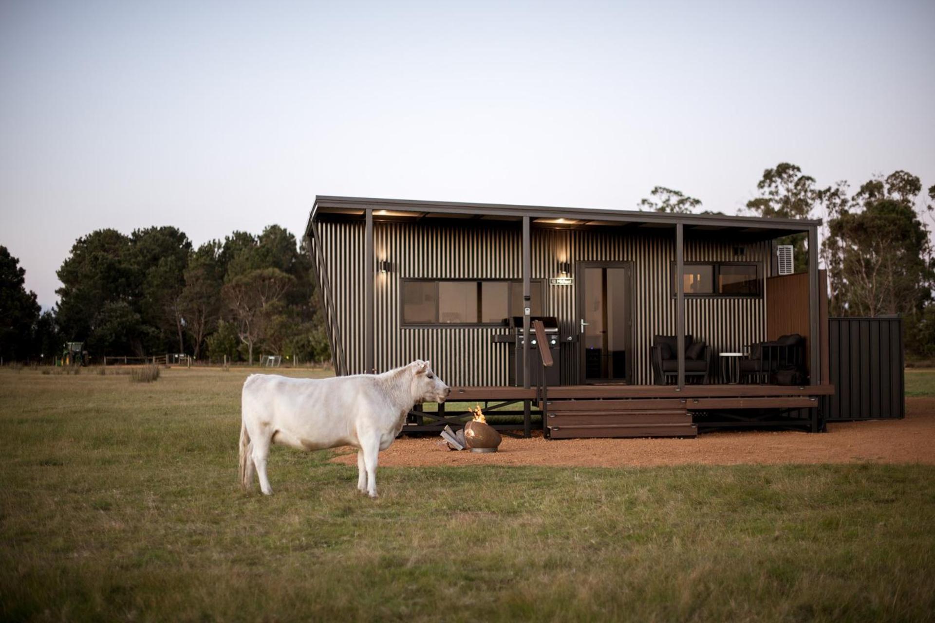 Michael the Tiny Cabin in Esperance