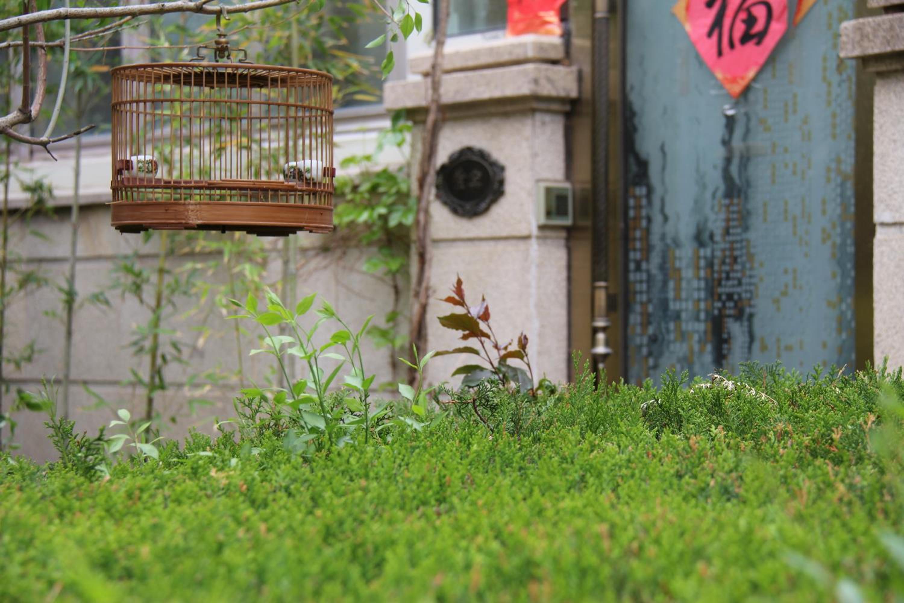 Z Z garden