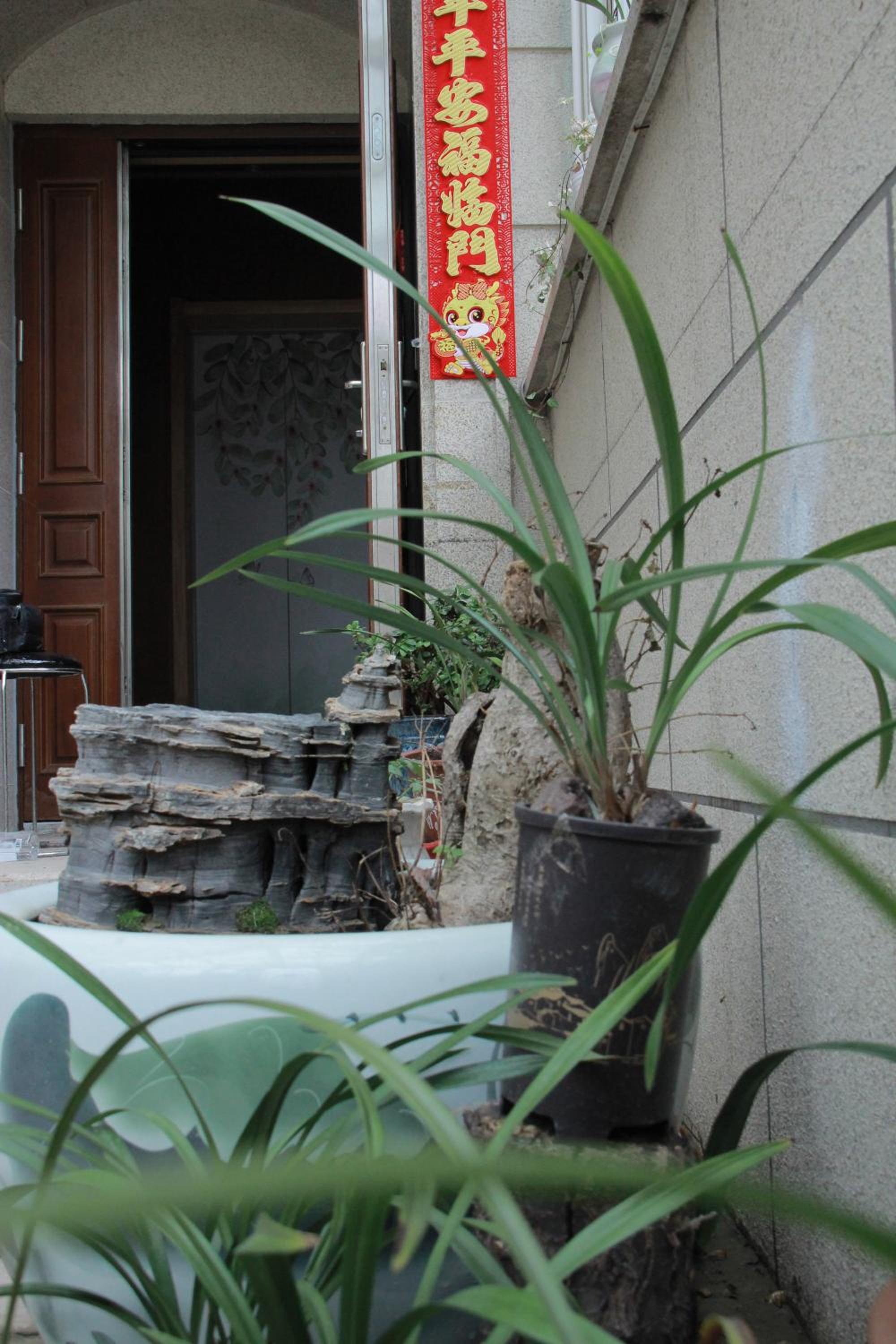 Z Z garden