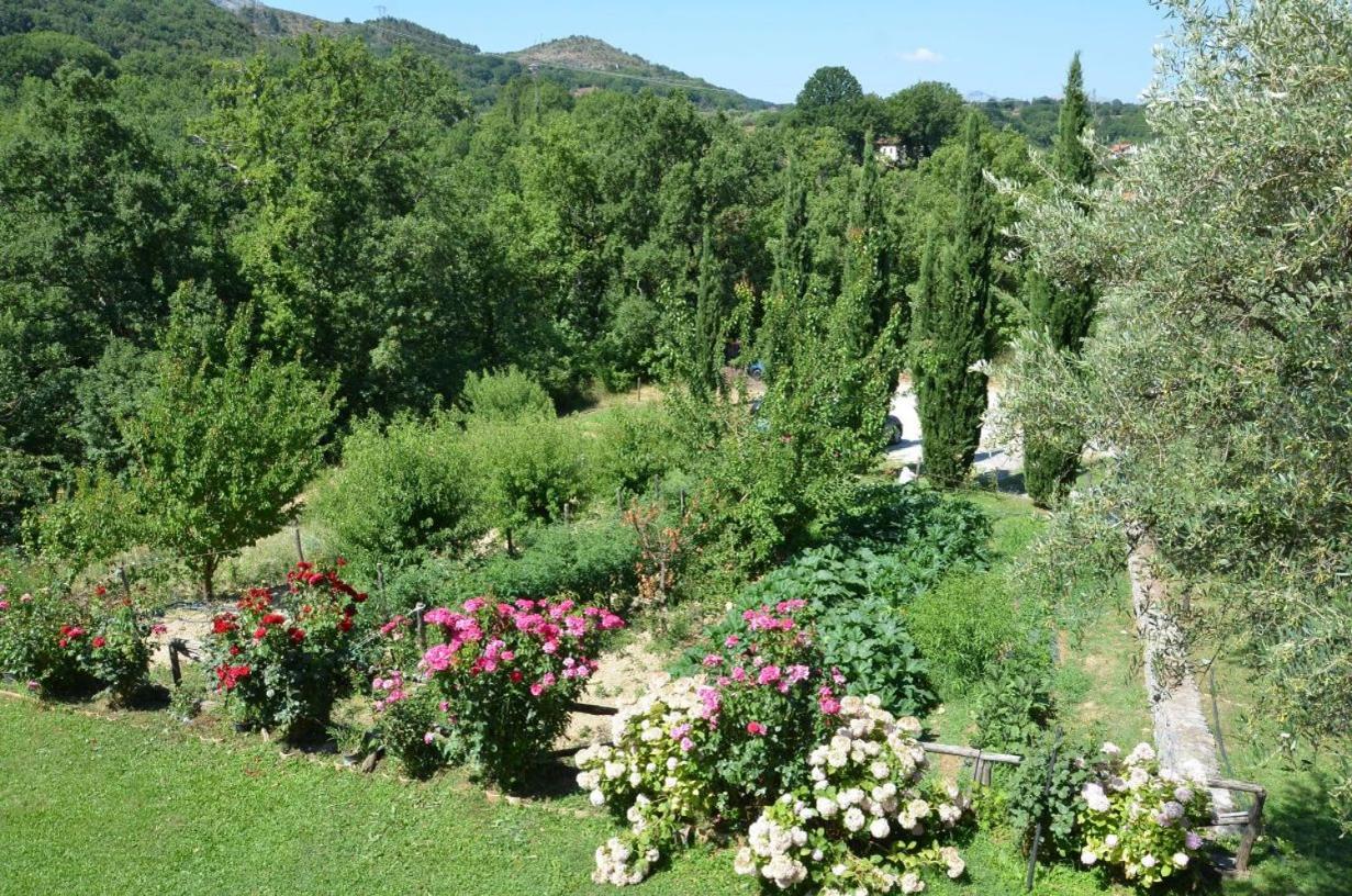 Agriturismo Fiore
