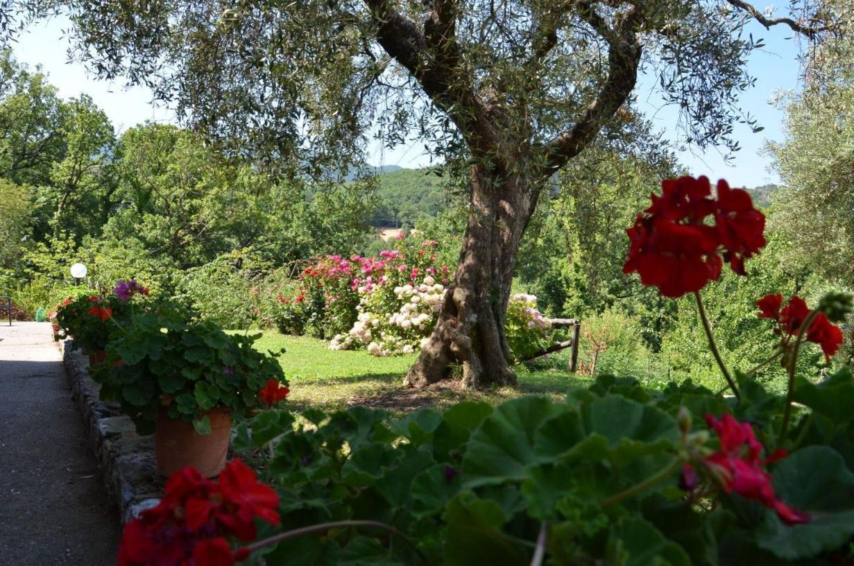 Agriturismo Fiore