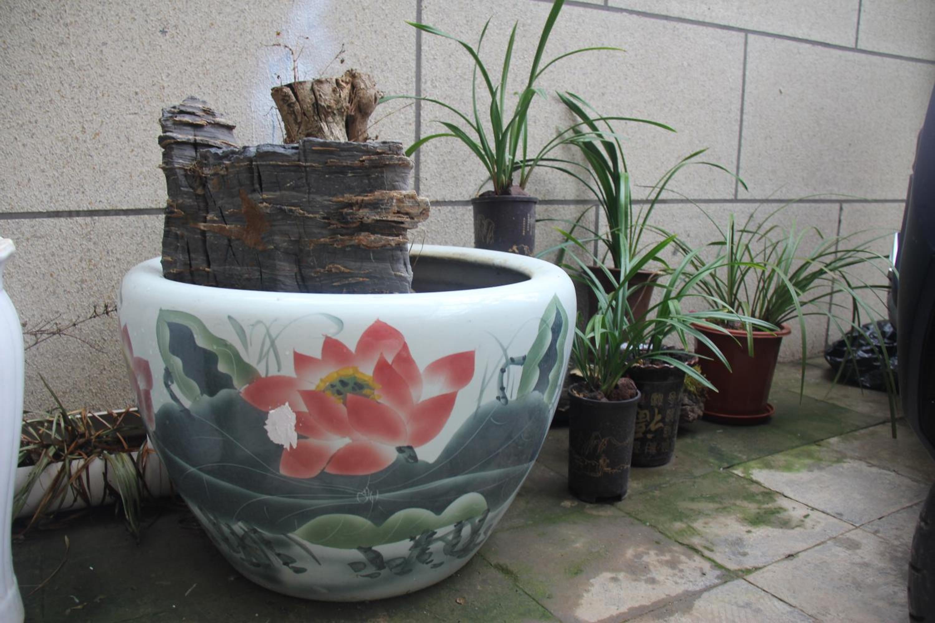 Z Z garden