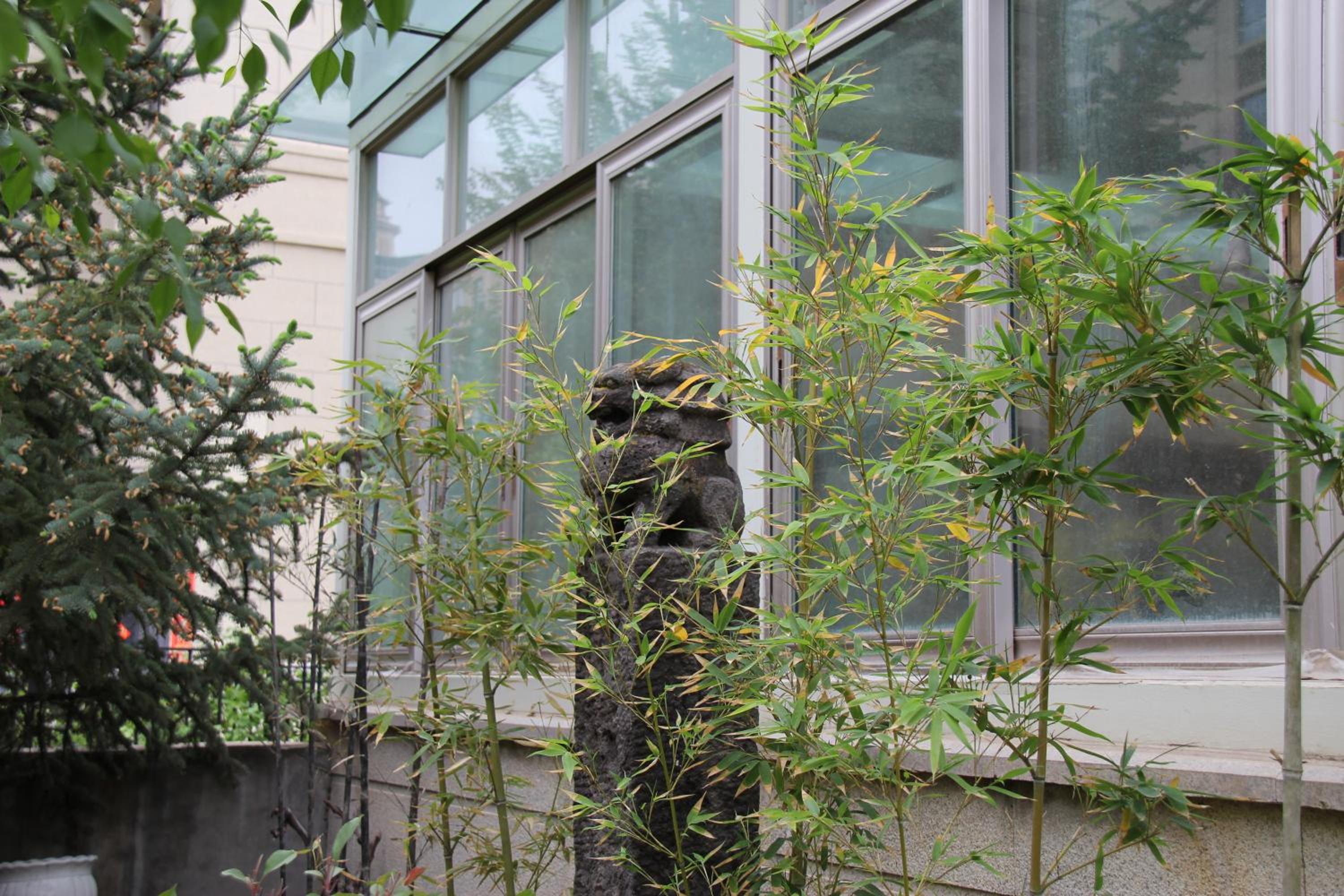 Z Z garden