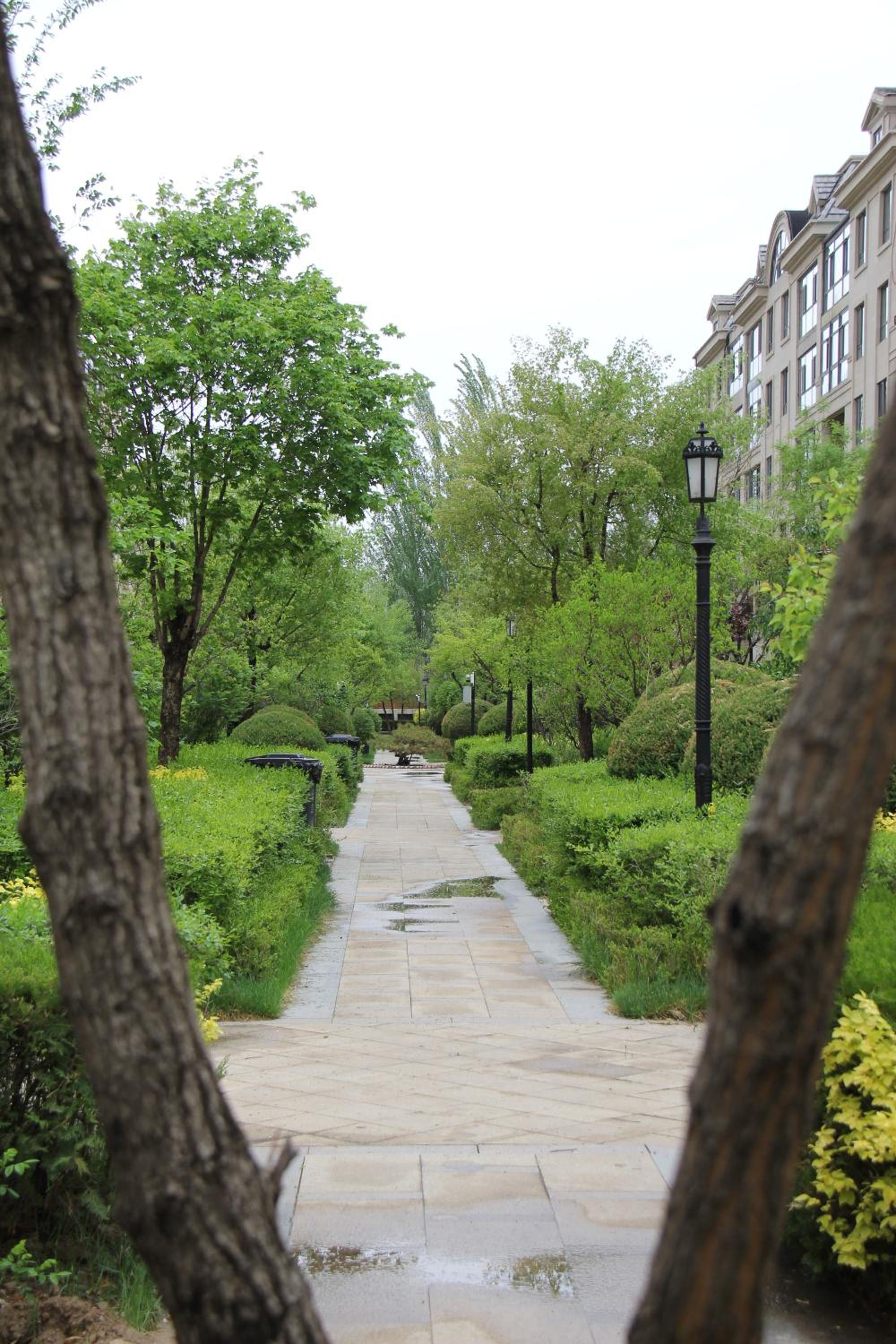 Z Z garden