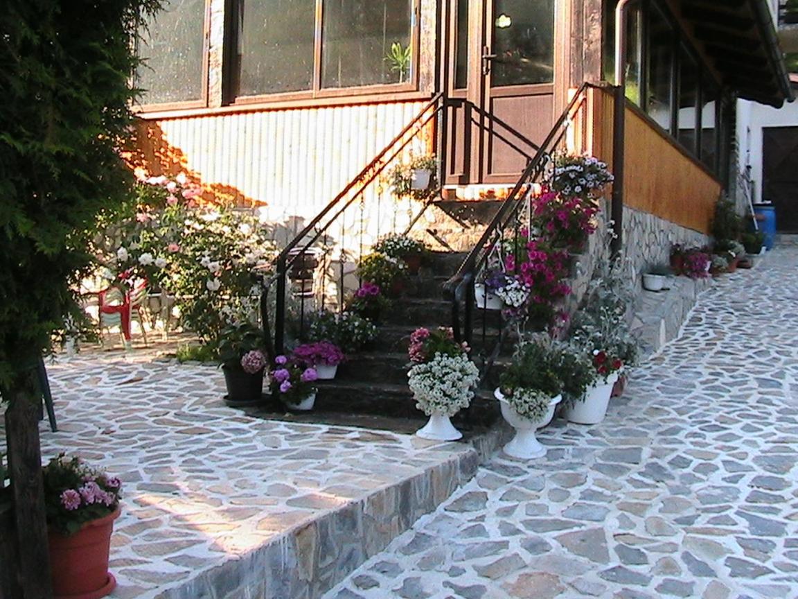 Photo 26