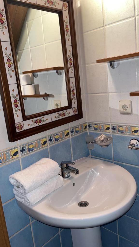 Cuniacha