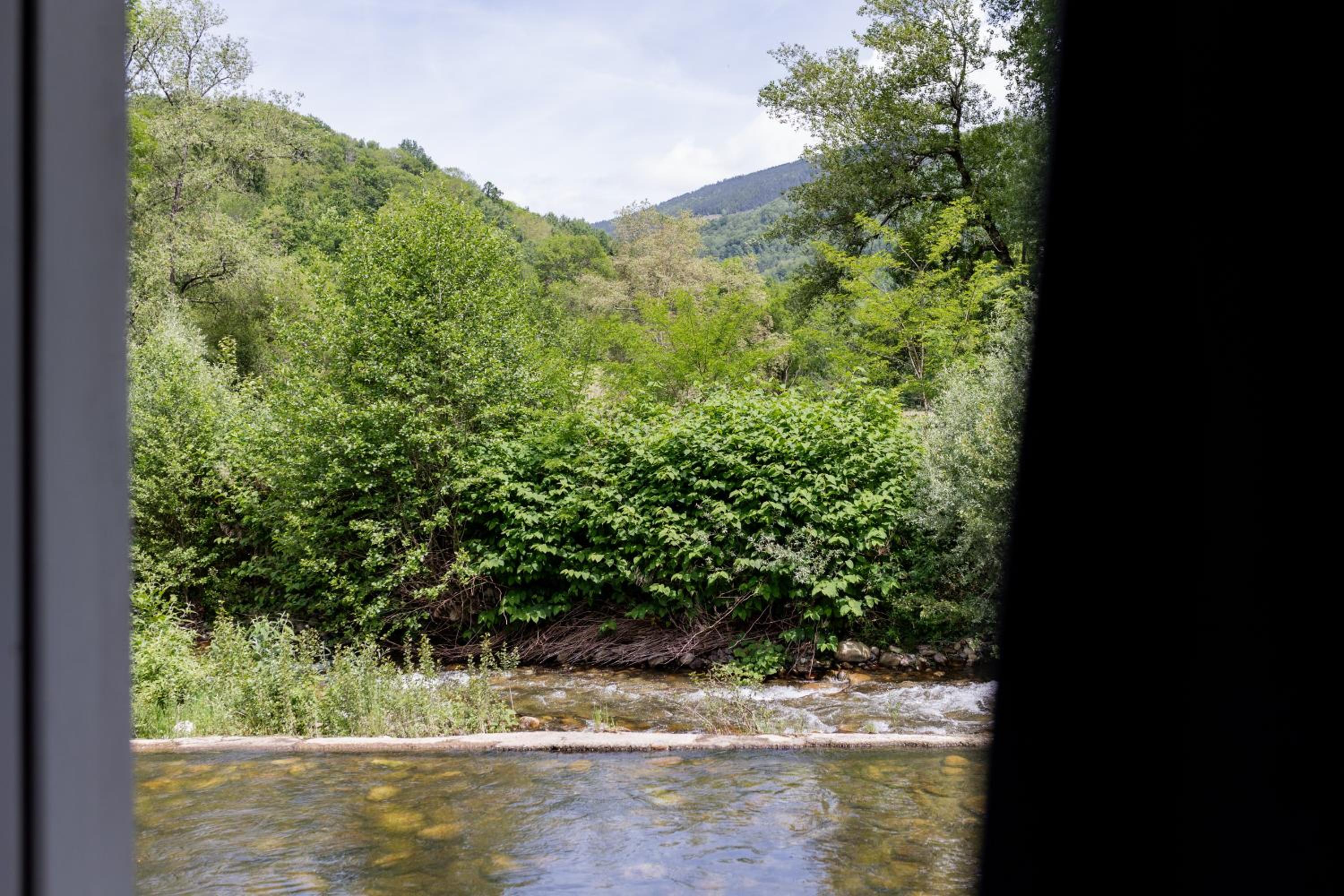 Photo 45