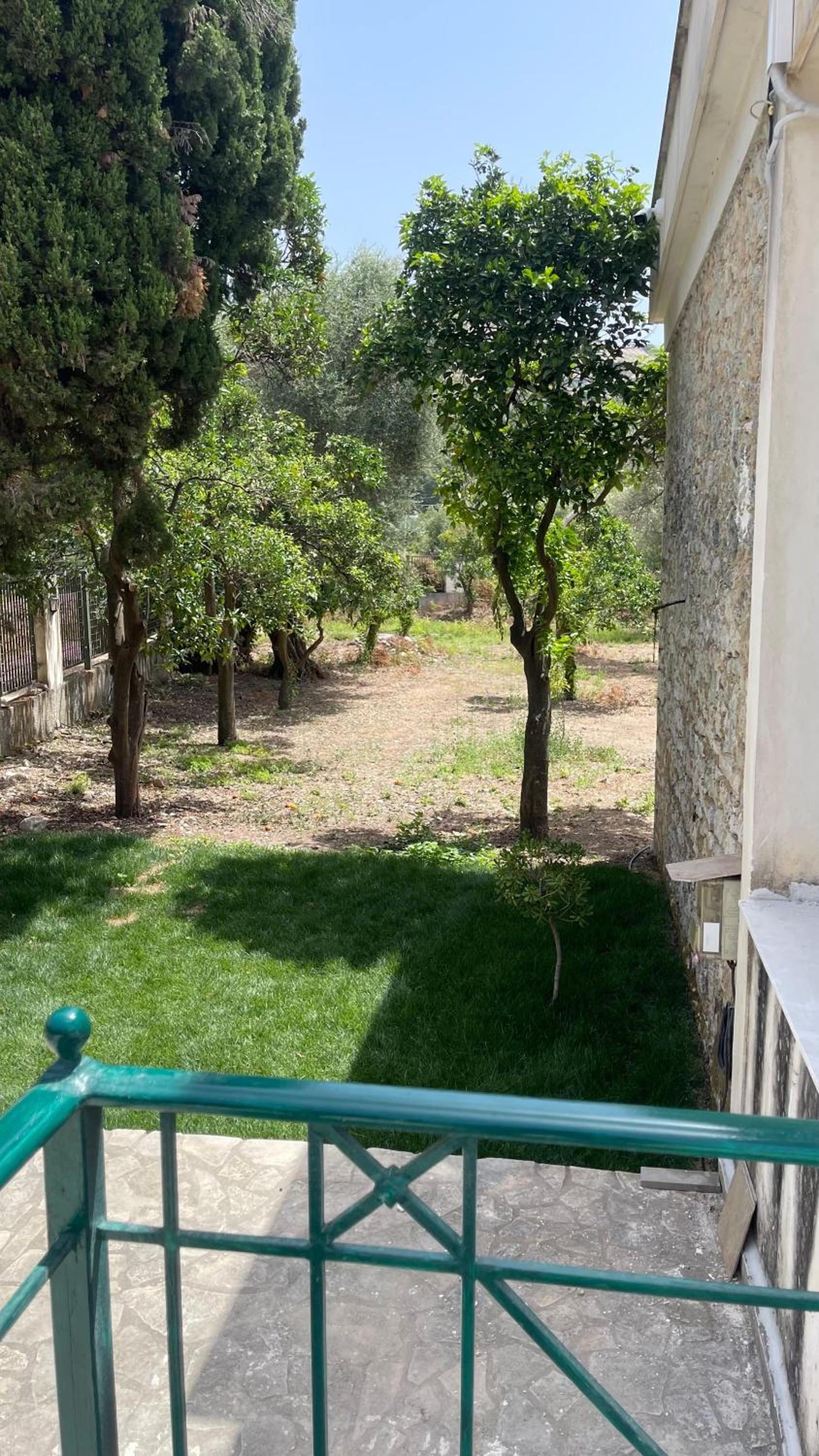 Orange Garden