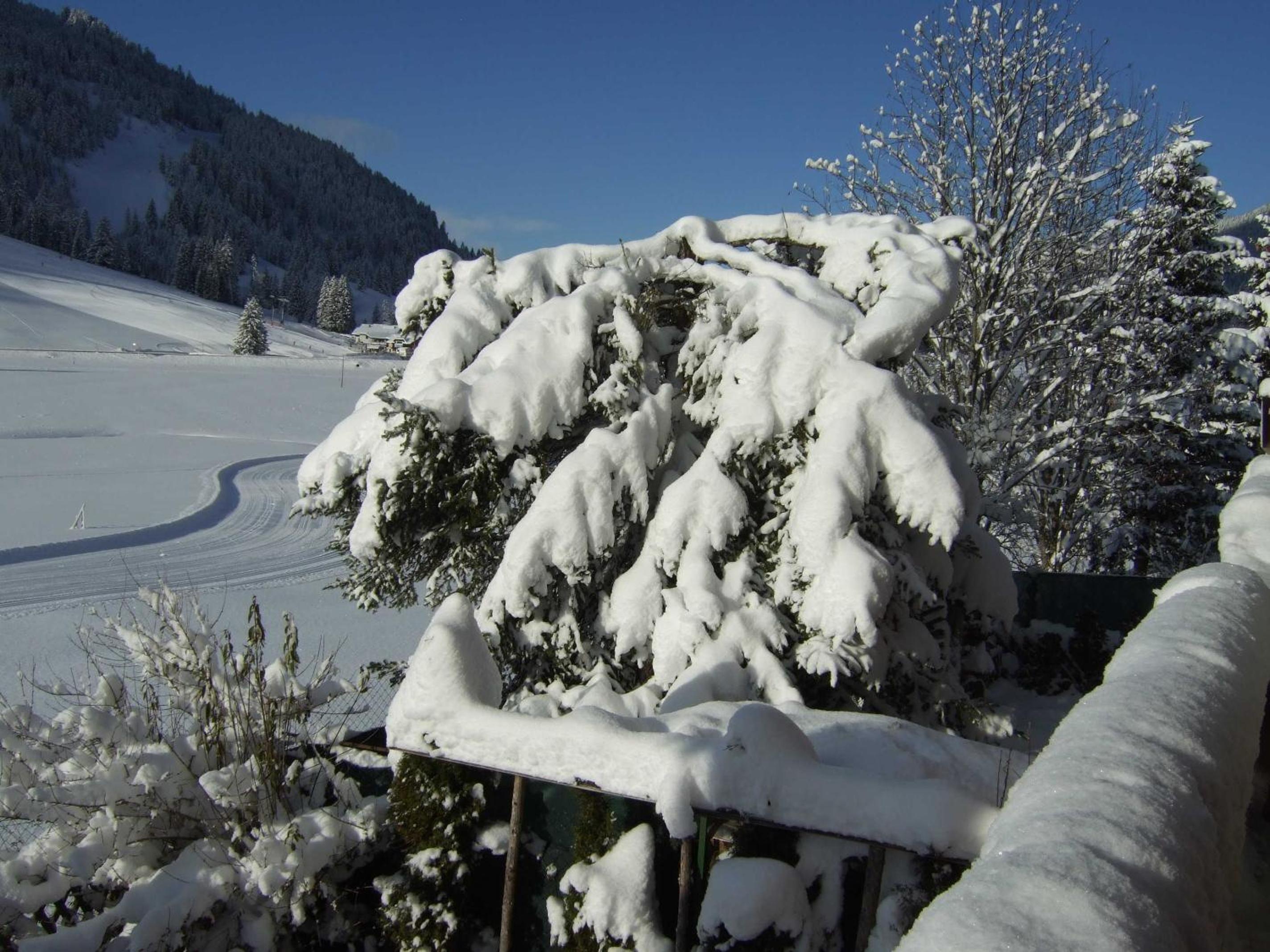 Haus Rosemarie
